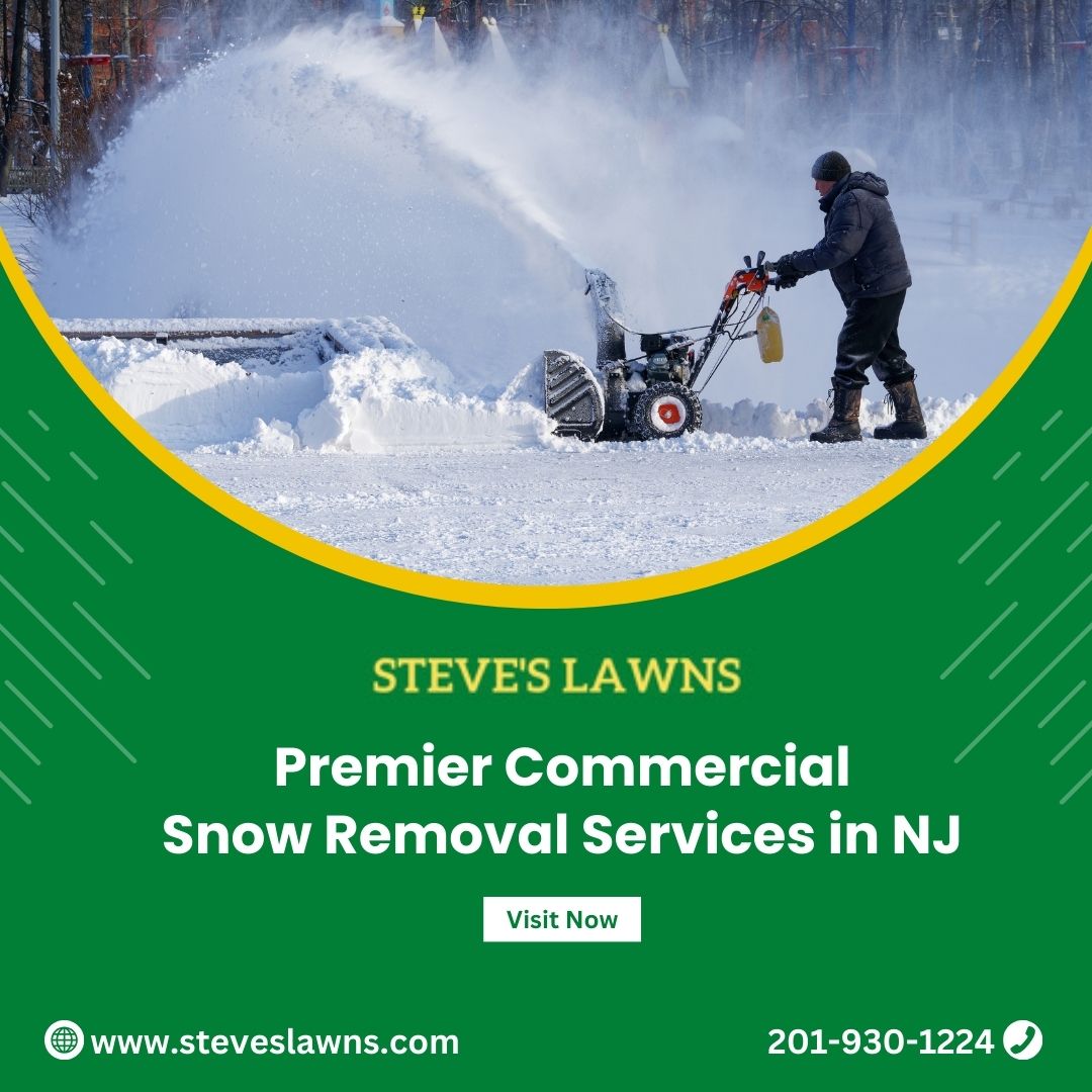 Clearing The Path: Premier Commercial Snow Removal Services in NJ